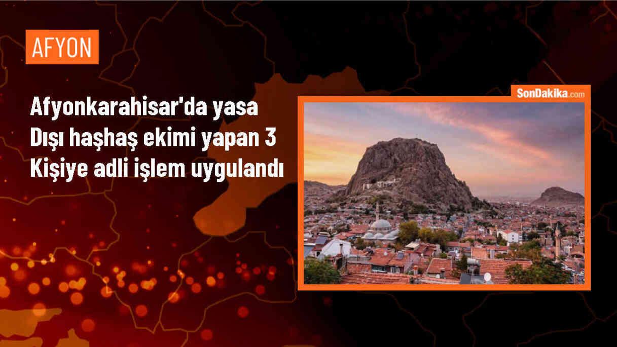 Afyonkarahisar\'da yasa dışı haşhaş ekim alanları tespit edildi