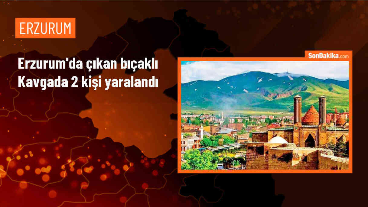 Erzurum\'da çıkan bıçaklı kavgada 2 kişi yaralandı