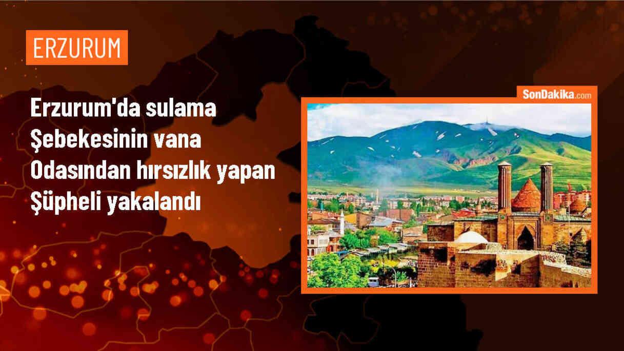 Erzurum\'da inşaat firmasının sulama şebekesinden hırsızlık yapan şüpheli yakalandı