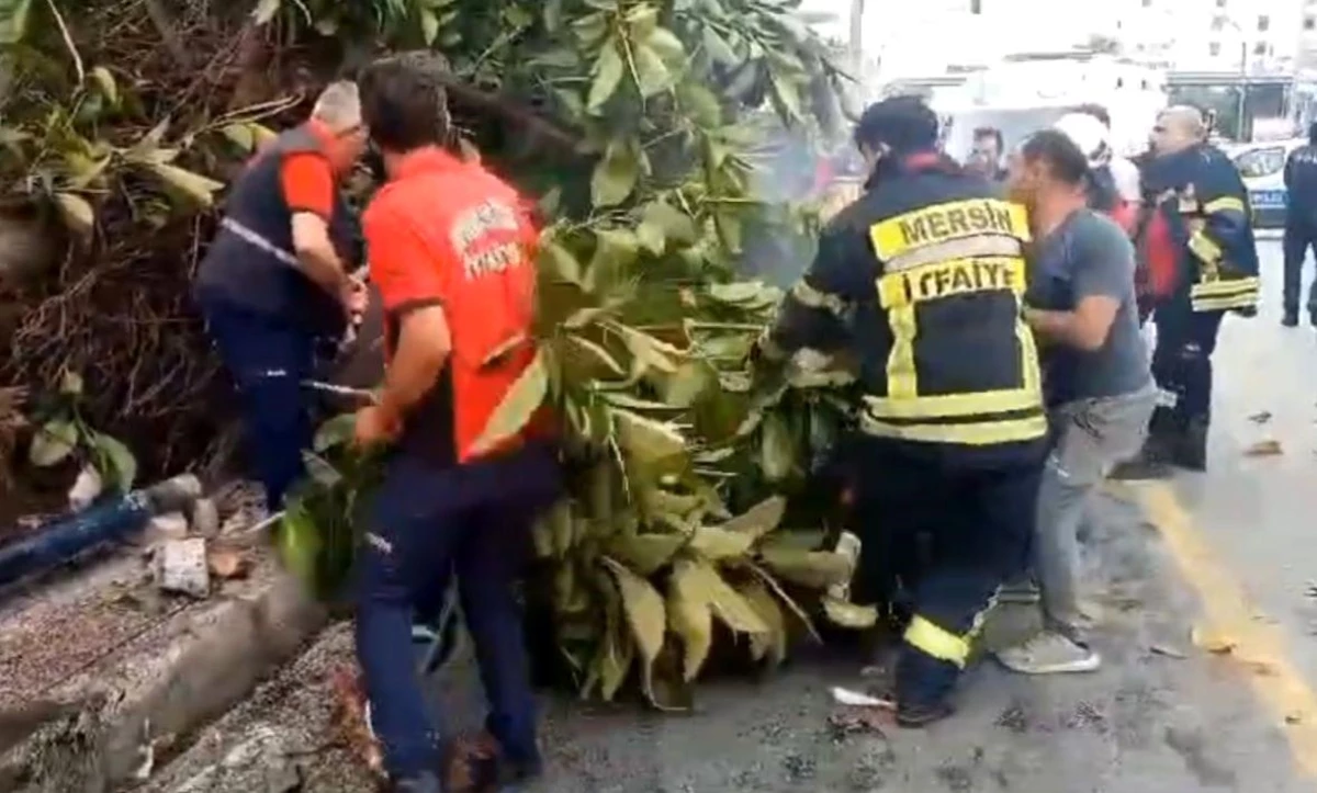 Mersin\'de kırmızı ışıkta geçen otomobil yayalara ve ağaca çarptı, 1 kişi hayatını kaybetti