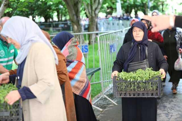 5 bin kişi domates fidesi kuyruğa girdi