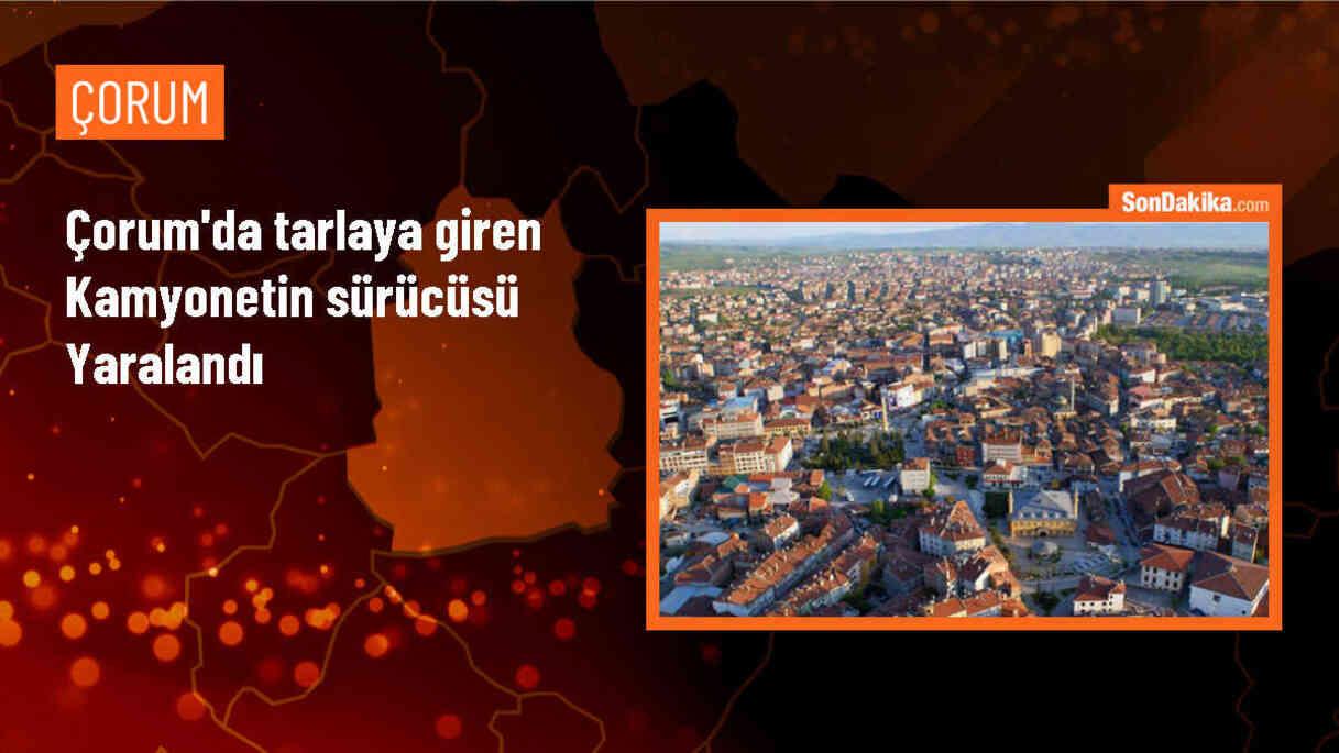 Çorum Alaca\'da Kamyonet Tarlaya Girdi, Sürücü Yaralandı