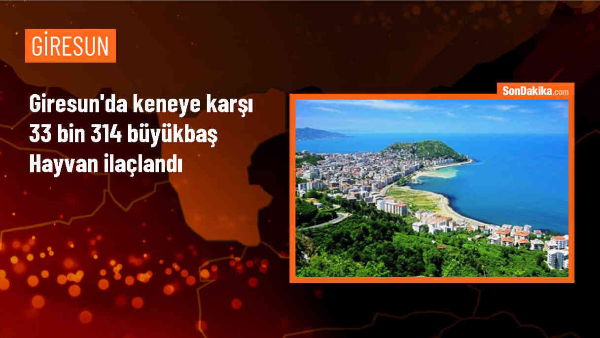 Giresun\'da 33 Bin 314 Büyükbaş Hayvan İlaçlandı
