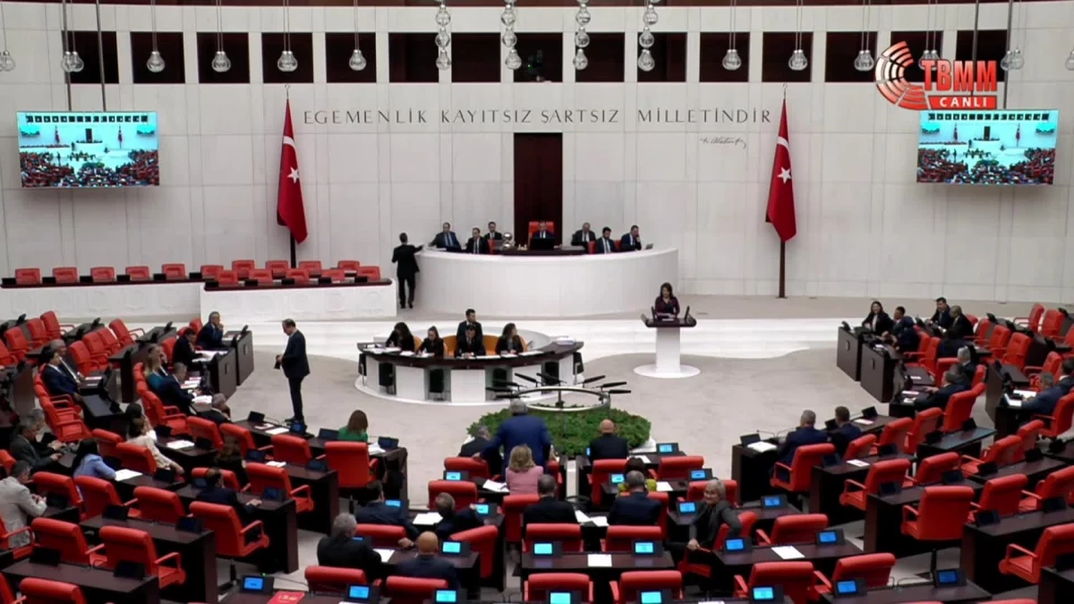 CHP Milletvekili Gülcan Kış, Mersin\'in sorunlarını Meclis gündemine taşıdı