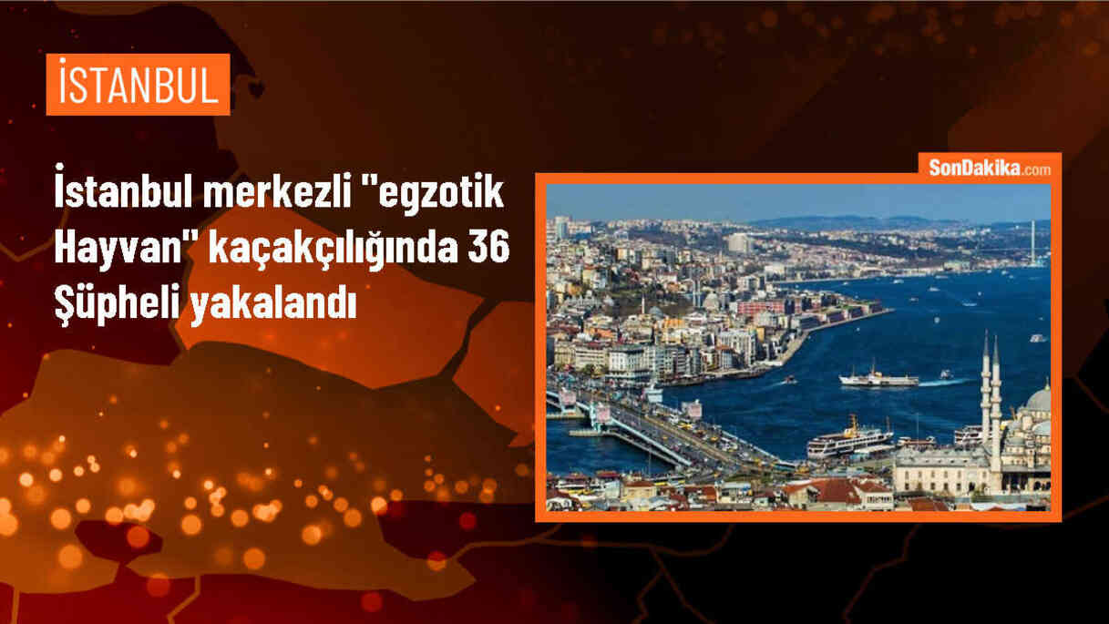 İstanbul\'da Egzotik Hayvan Kaçakçılığı Operasyonu: 36 Şüpheliden 9\'u Adliyeye Sevk Edildi