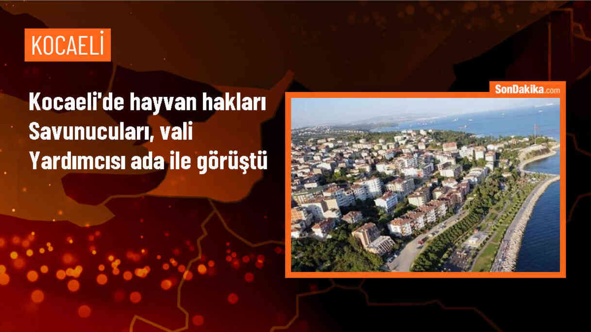 Kocaeli\'deki hayvan hakları dernekleri Vali Yardımcısı ile görüştü