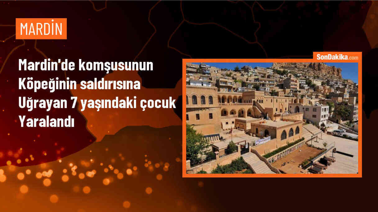Mardin\'de komşusunun köpeği tarafından saldırıya uğrayan çocuk tedavi altına alındı