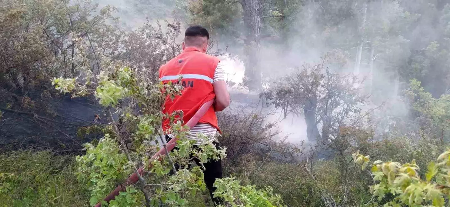 Alaşehir\'de çıkan orman yangını kontrol altına alındı