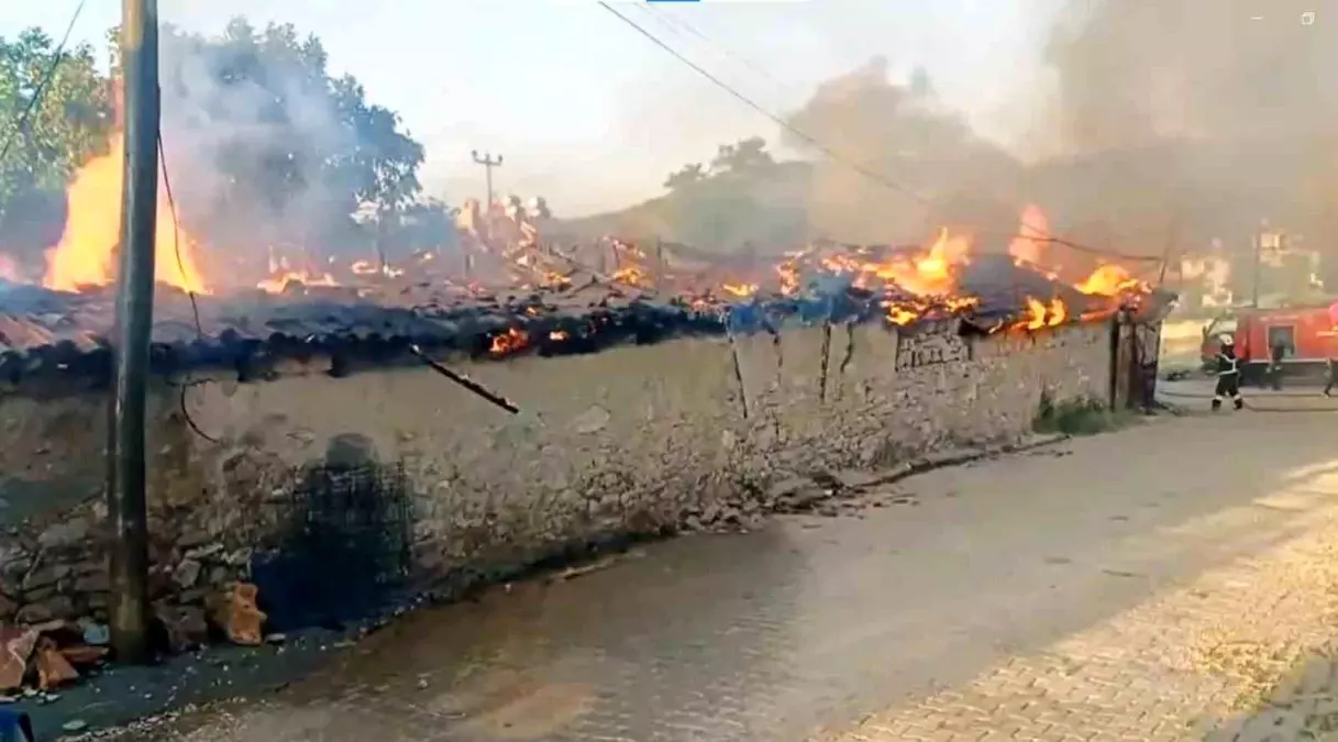 Muğla\'da depo yangınında saman ve odunlar tamamen yanarken bir kişi yaralandı