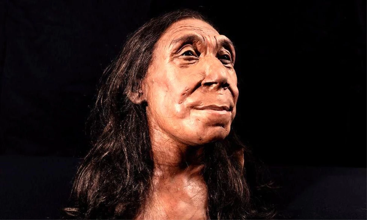 Neandertal Kadının Yüzü Canlandırıldı