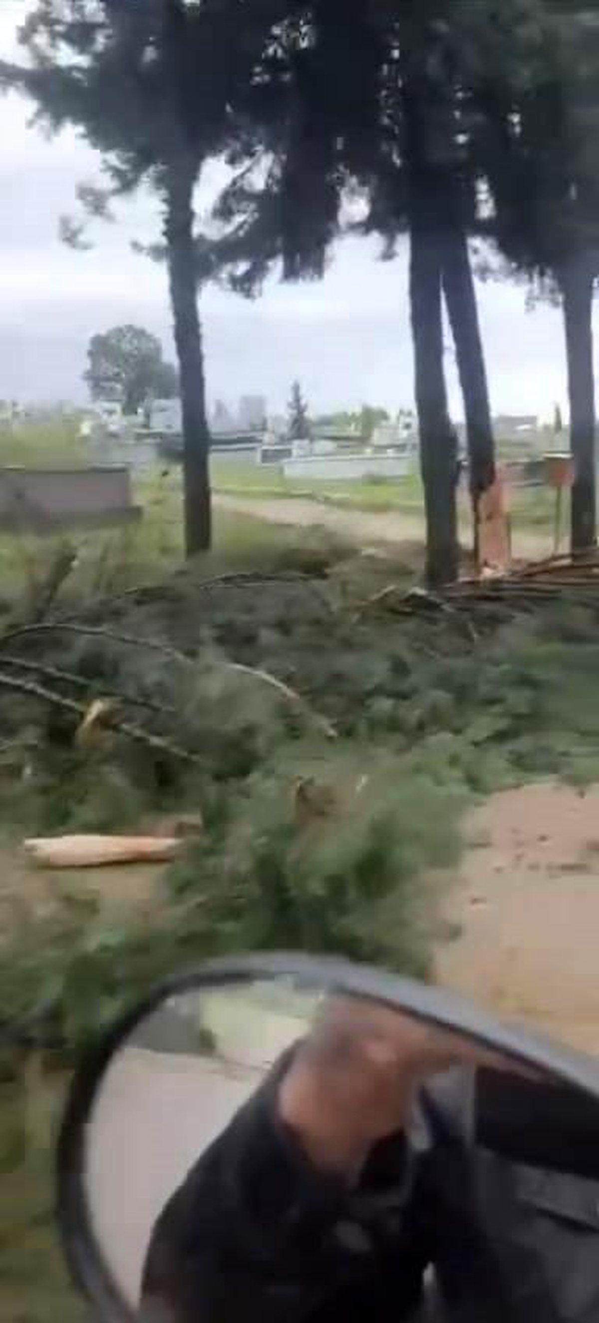 Bursa\'da fırtına ağaçları devirirken, Osmangazi ilçesinde ise çok sayıda ağaca yıldırım düştü