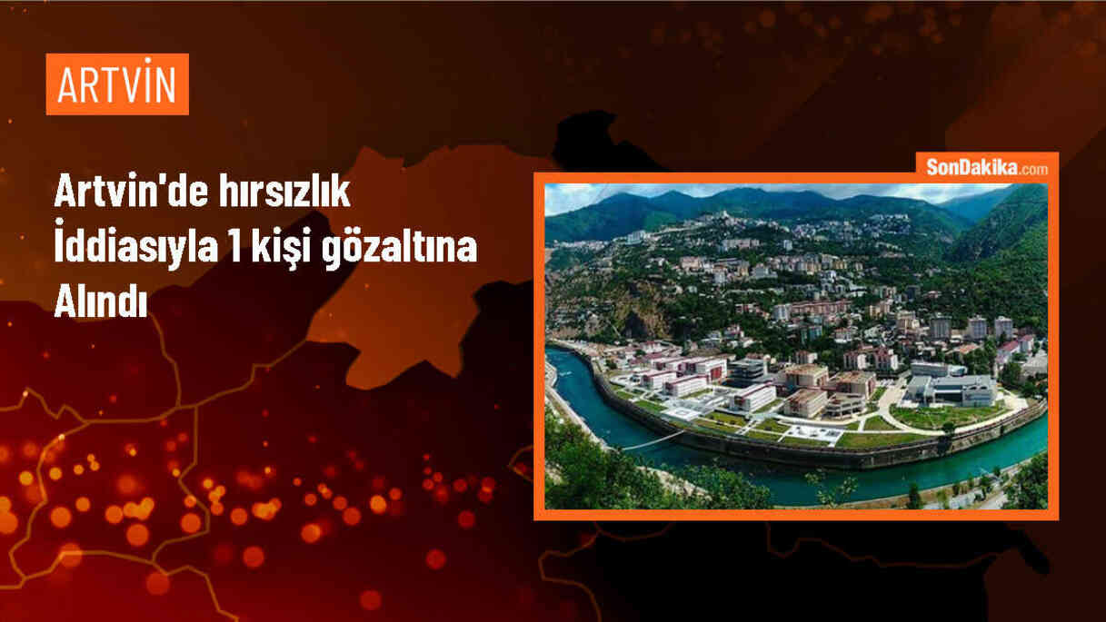 Arhavi\'de Hırsızlık İddiasıyla 1 Kişi Yakalandı
