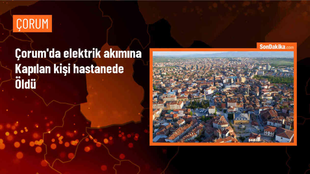Çorum\'da Elektrik Akımına Kapılan Kişi Hayatını Kaybetti