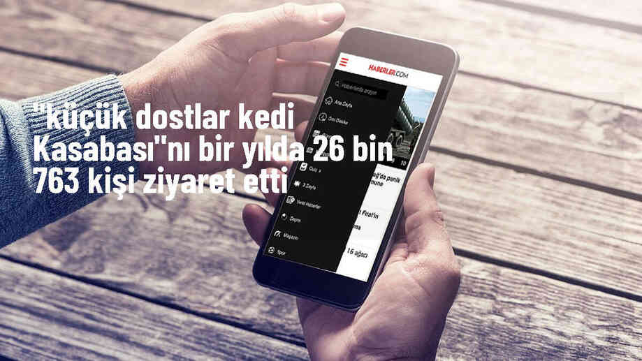 Kocasinan Belediyesi\'nin \'Küçük Dostlar Kedi Kasabası\'na 26 bin 763 kişi ziyaret etti
