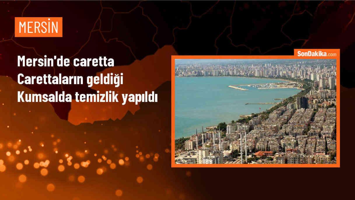 Mersin\'de Caretta Carettalarının Yumurtalarının Bulunduğu Kumsal Temizlendi