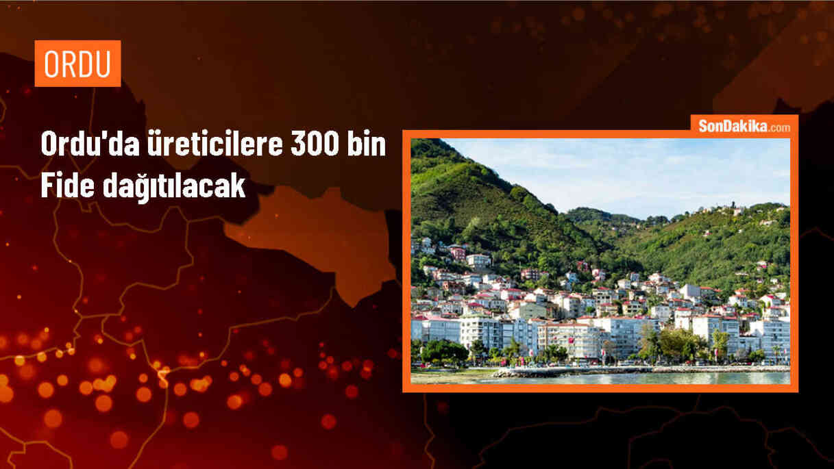 Ordu Büyükşehir Belediyesi\'nin seralarında üretilen 300 bin fide üreticiye ulaştırılacak
