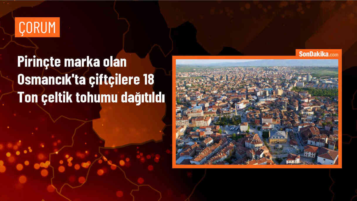 Çorum\'un Osmancık ilçesinde çeltik tohumu dağıtıldı