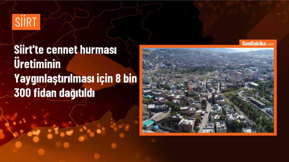 Siirt\'te cennet hurması üretimi için fidan dağıtımı yapıldı