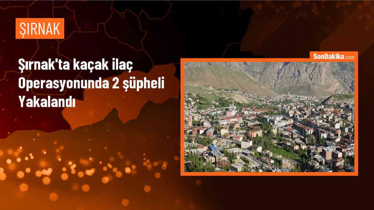 Şırnak\'ta kaçak ilaç operasyonunda 2 zanlı gözaltına alındı