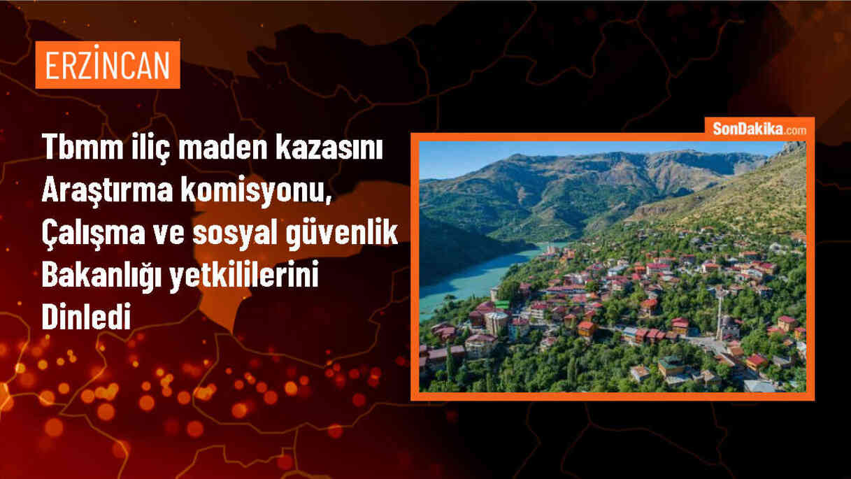 Erzincan\'daki maden kazasıyla ilgili Bakan Yardımcısı Alpkan açıklama yaptı