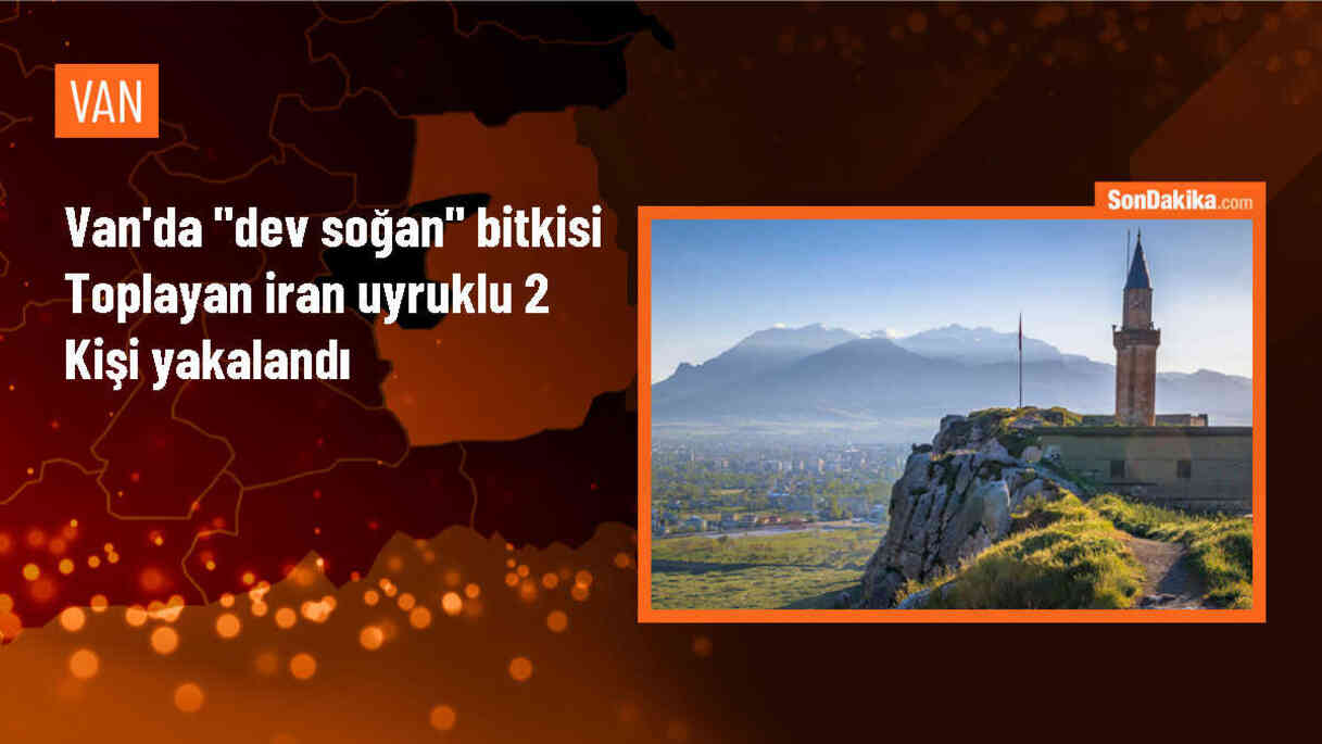 İran uyruklu 2 kişiye dev soğan topladıkları için yüksek para cezası