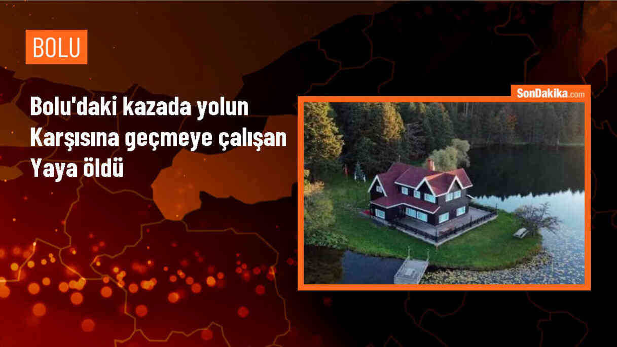 Anadolu Otoyolu\'nda trafik kazasında yaya hayatını kaybetti
