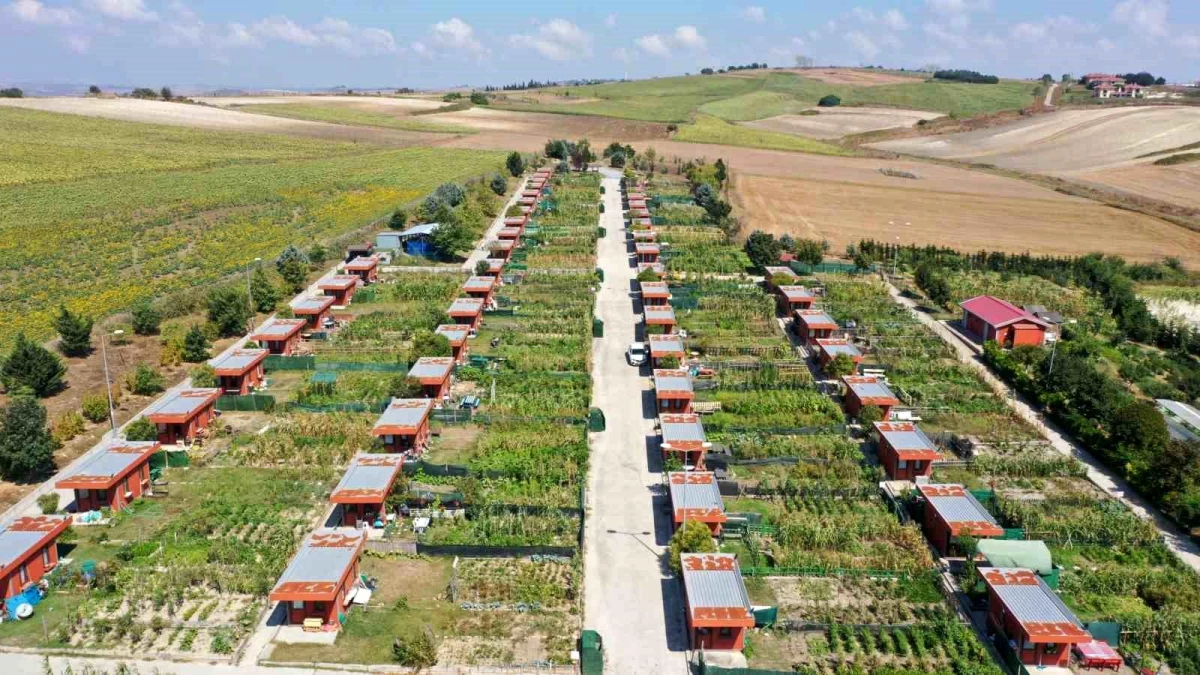 Arnavutköy Belediyesi tarafından kurulan Bostan Gülistan Hobi Bahçesi\'nde ilk fideler toprağa ekildi