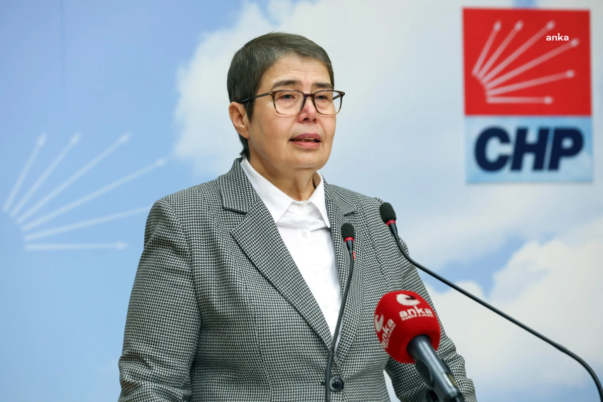 CHP Genel Başkan Yardımcısı Zeliha Aksaz Şahbaz: Sağlık Bakanlığı Menenjit vakalarını gizliyor