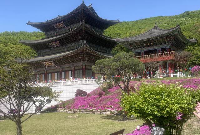 Güney Kore'yi, Sarayları, Geleneksel Pazarları ve Köyleri ile Keşfedelim