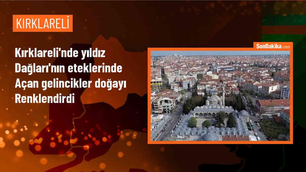 Kırklareli\'nde Yıldız Dağları\'nın etekleri gelinciklerle kırmızıya büründü