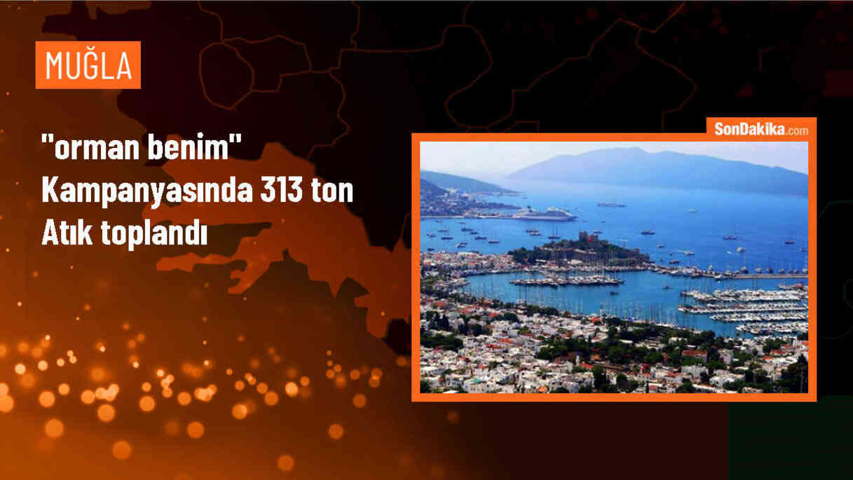 Orman Benim kampanyasıyla 313 ton çöp geri dönüşüme gönderildi