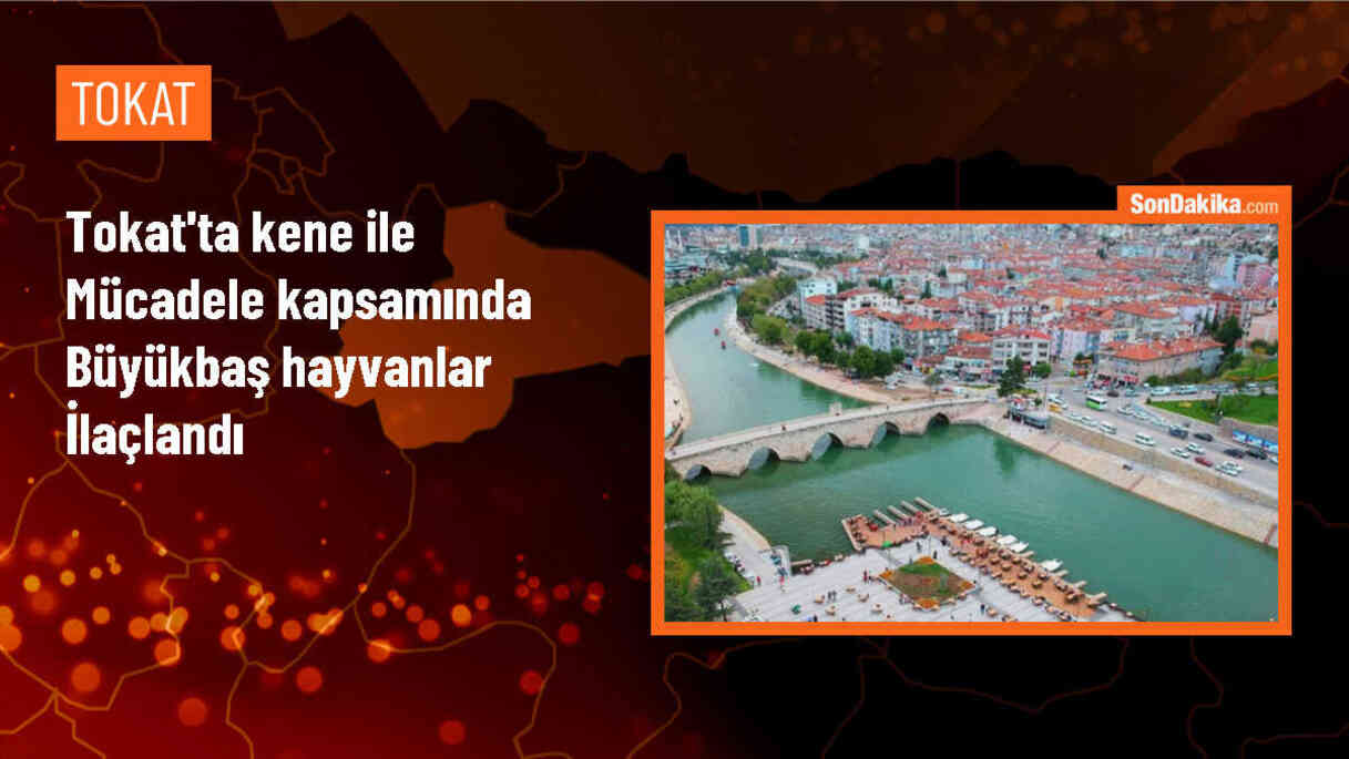 Tokat\'ta Büyükbaş Hayvanlarda Kene İlaçlama Çalışması