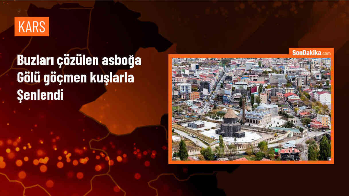 Sarıkamış\'taki Asboğa Gölü\'ne göçmen kuşlar gelmeye başladı