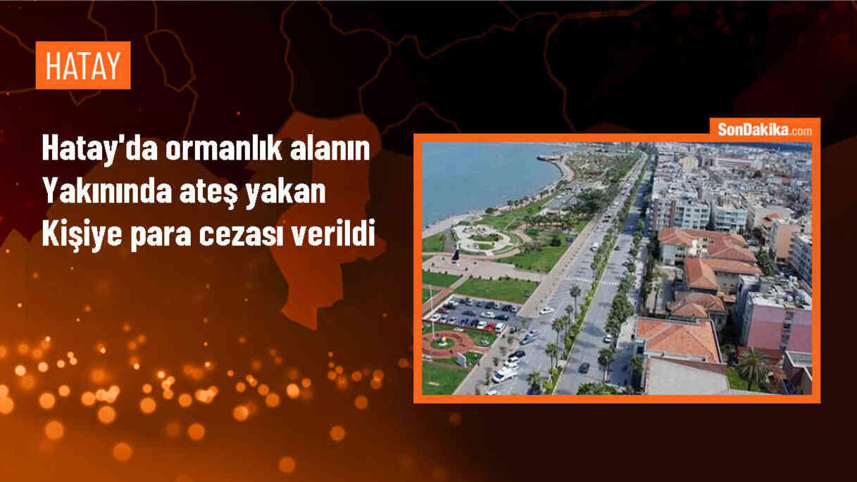 Hatay\'ın Belen ilçesinde ormanlık alanda ateş yakana ceza