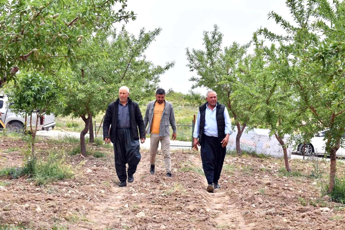 Mersin Büyükşehir Belediyesi \'Organik Tarım\' Projesiyle Üreticileri Destekliyor