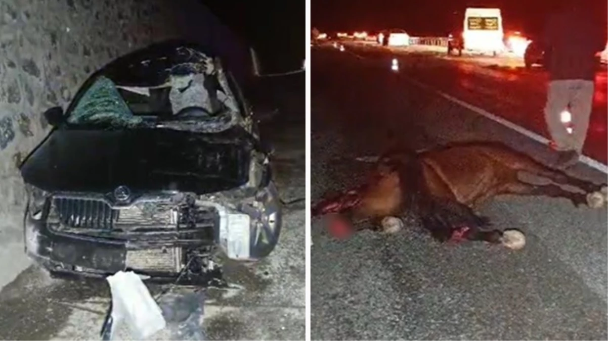 Bingöl\'de trafik kazasında 1 kişi hayatını kaybetti, 5 kişi yaralandı