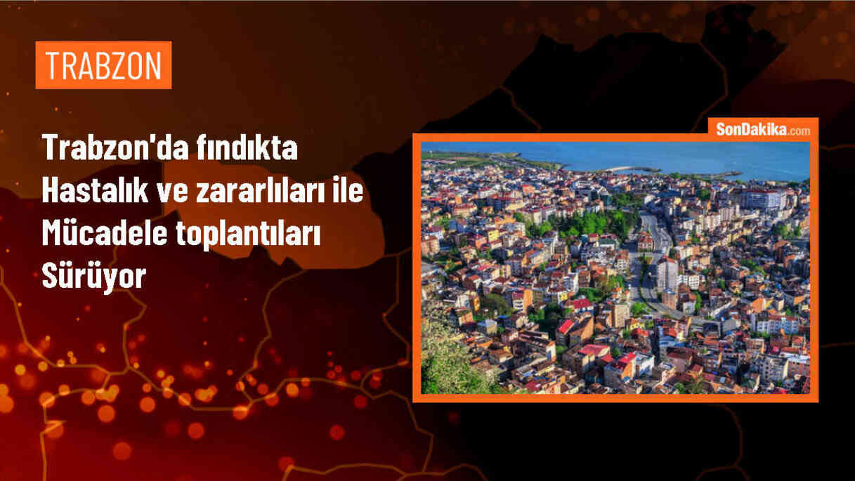 Trabzon\'da fındık hastalık ve zararlıları ile mücadele toplantısı düzenlendi