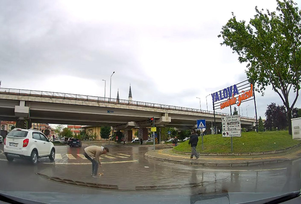 Yalova\'da trafik ışıklarında kurtarılan kedi