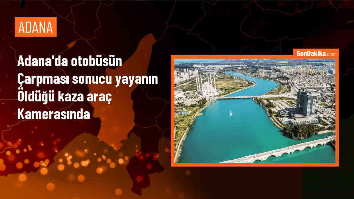 Adana\'da özel halk otobüsü yayaya çarptı, hayatını kaybetti