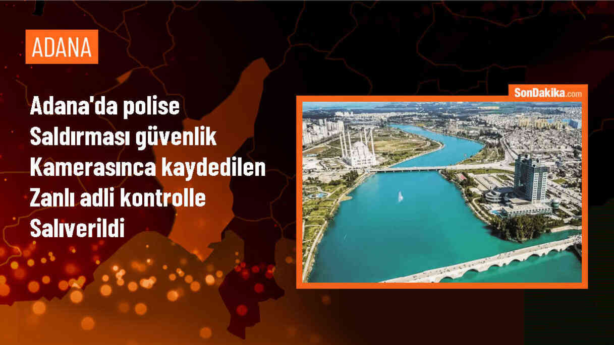 Adana\'da bir kadını darbettiği iddiasıyla gözaltına alınmak istenen şüpheli, polise saldırdı ve serbest bırakıldı