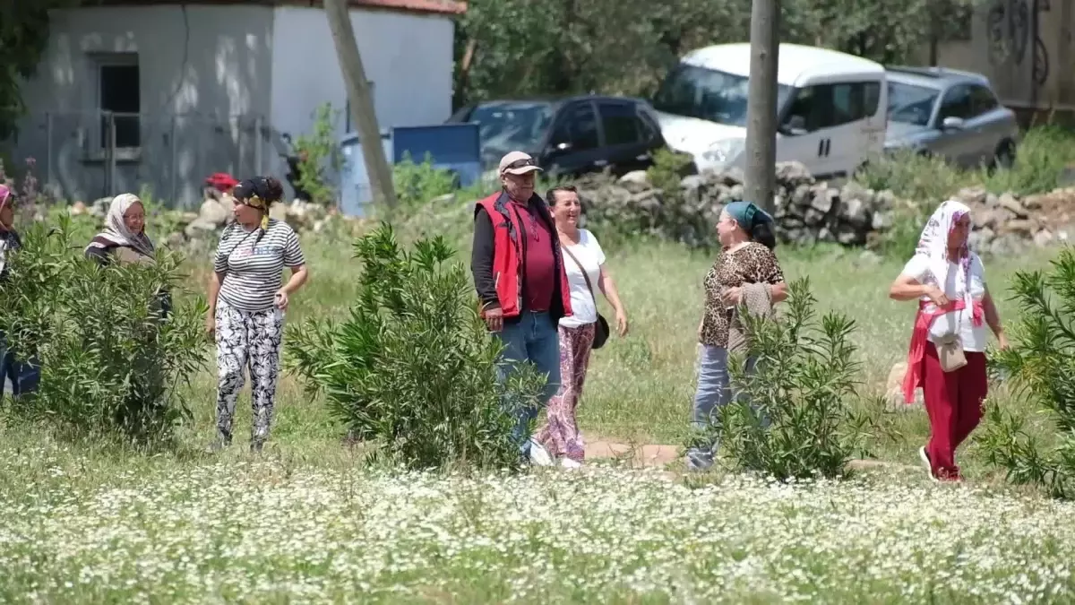 Bodrum Canlar Şenliği 10. kez düzenlendi