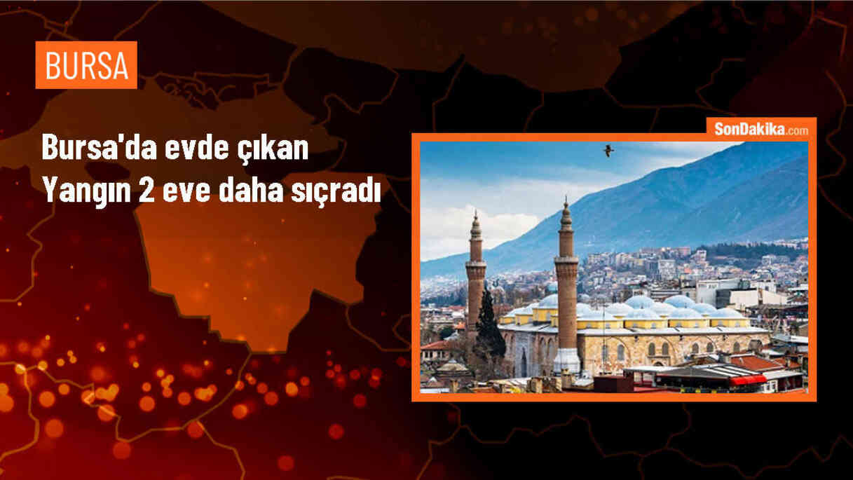 İnegöl\'de çıkan yangın 2 eve daha sıçradı