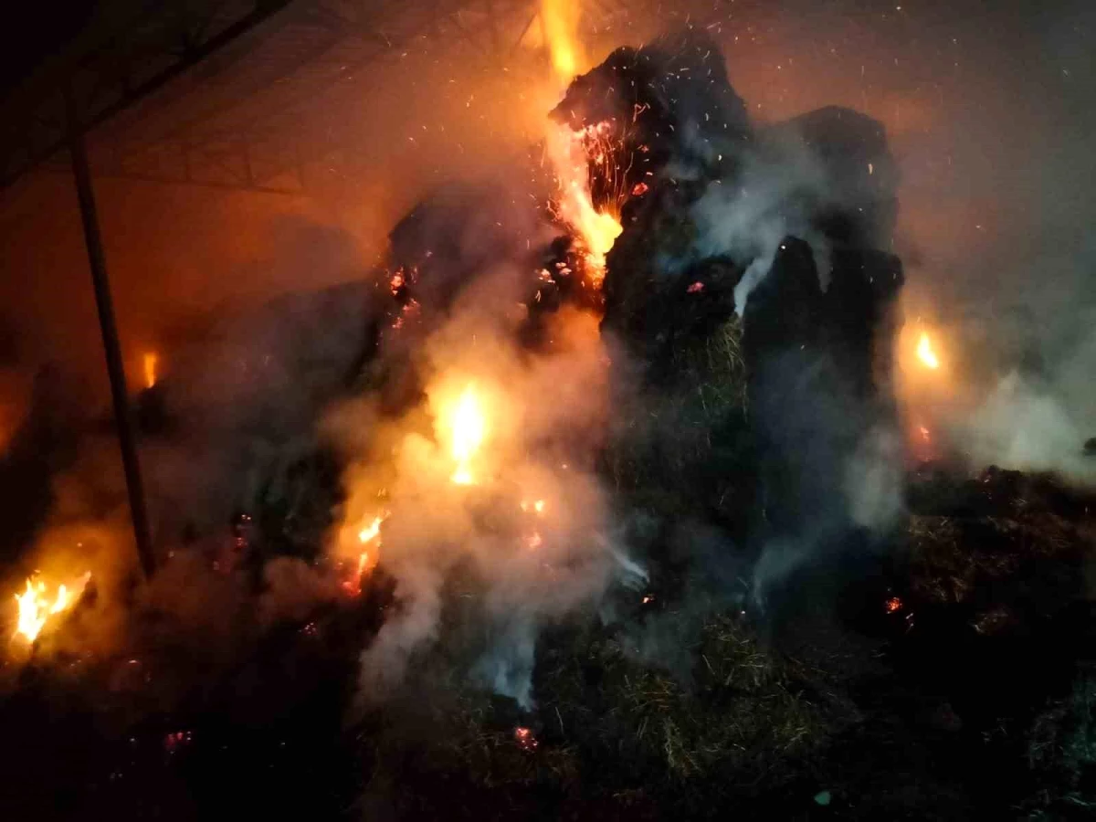 Aydın\'ın Nazilli ilçesinde çiftlik yangını: 100 ton saman kül oldu
