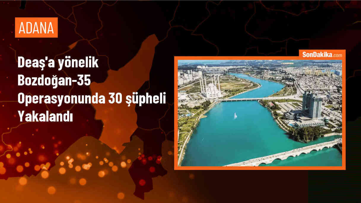 İçişleri Bakanı: DEAŞ\'a yönelik operasyonda 30 şüpheli yakalandı