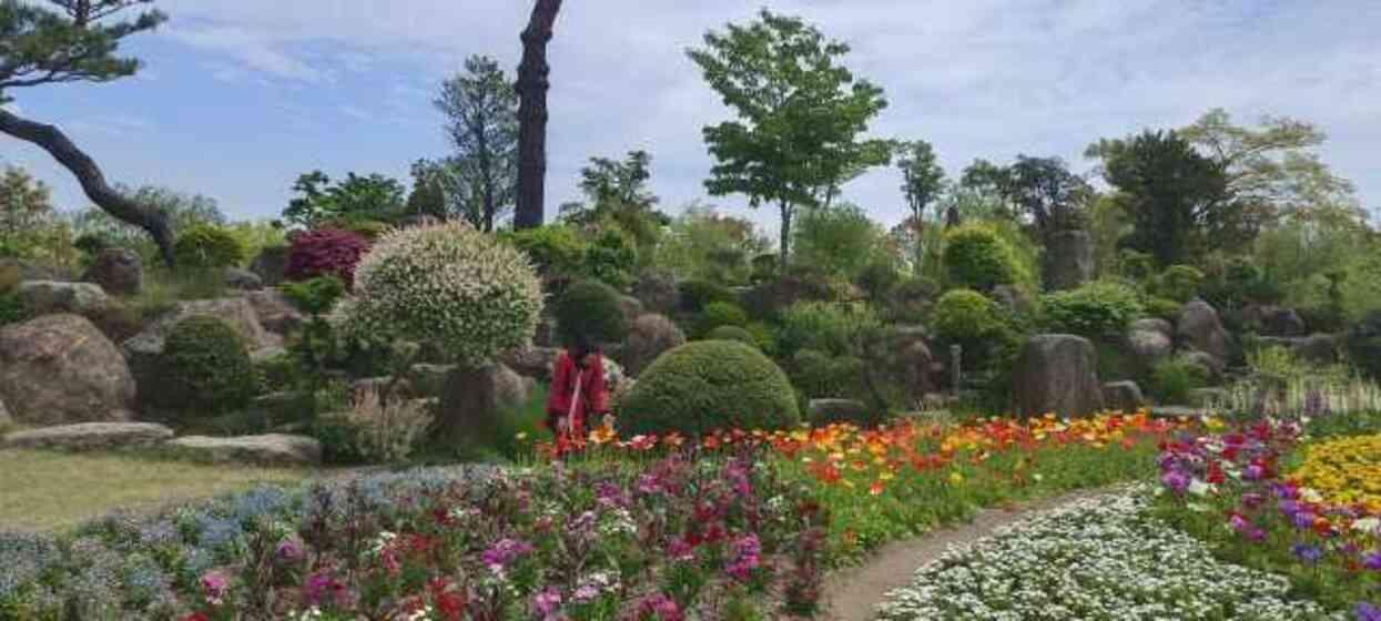 Doğal Güzelliği ile Keşfedilmeyi Bekleyen Bir Güney Kore Şehri: Suncheon Doğal Güzelliği ile Keşfedilmeyi Bekleyen Bir Güney Kore Şehri: Suncheon
