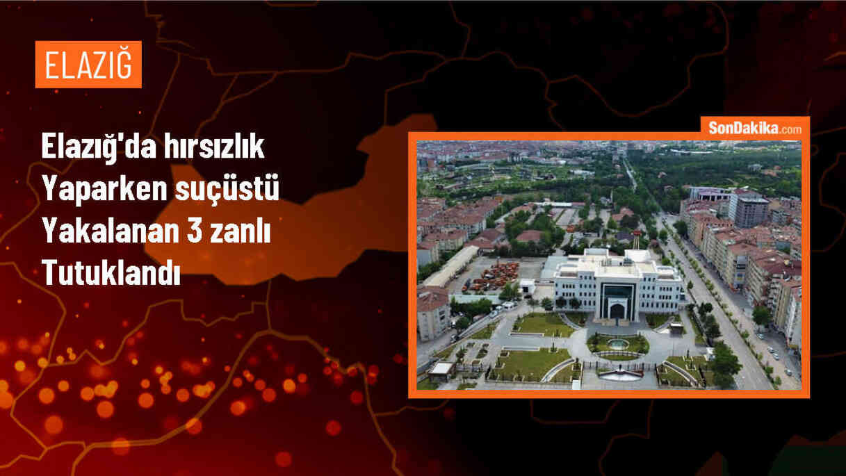 Elazığ\'da Okuldan Malzeme Çalan 3 Kişi Tutuklandı