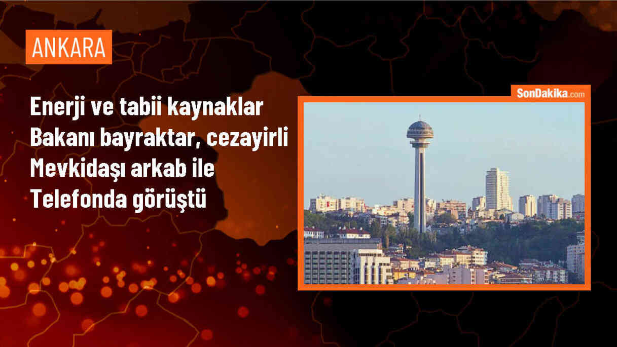 Enerji Bakanı Bayraktar, Cezayirli mevkidaşıyla LNG işbirliği konularını görüştü