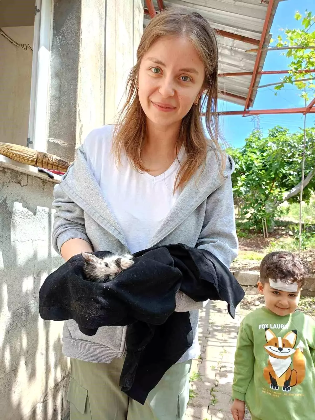 Hatay\'ın Belen ilçesinde mahsur kalan kediler itfaiye ekipleri tarafından kurtarıldı