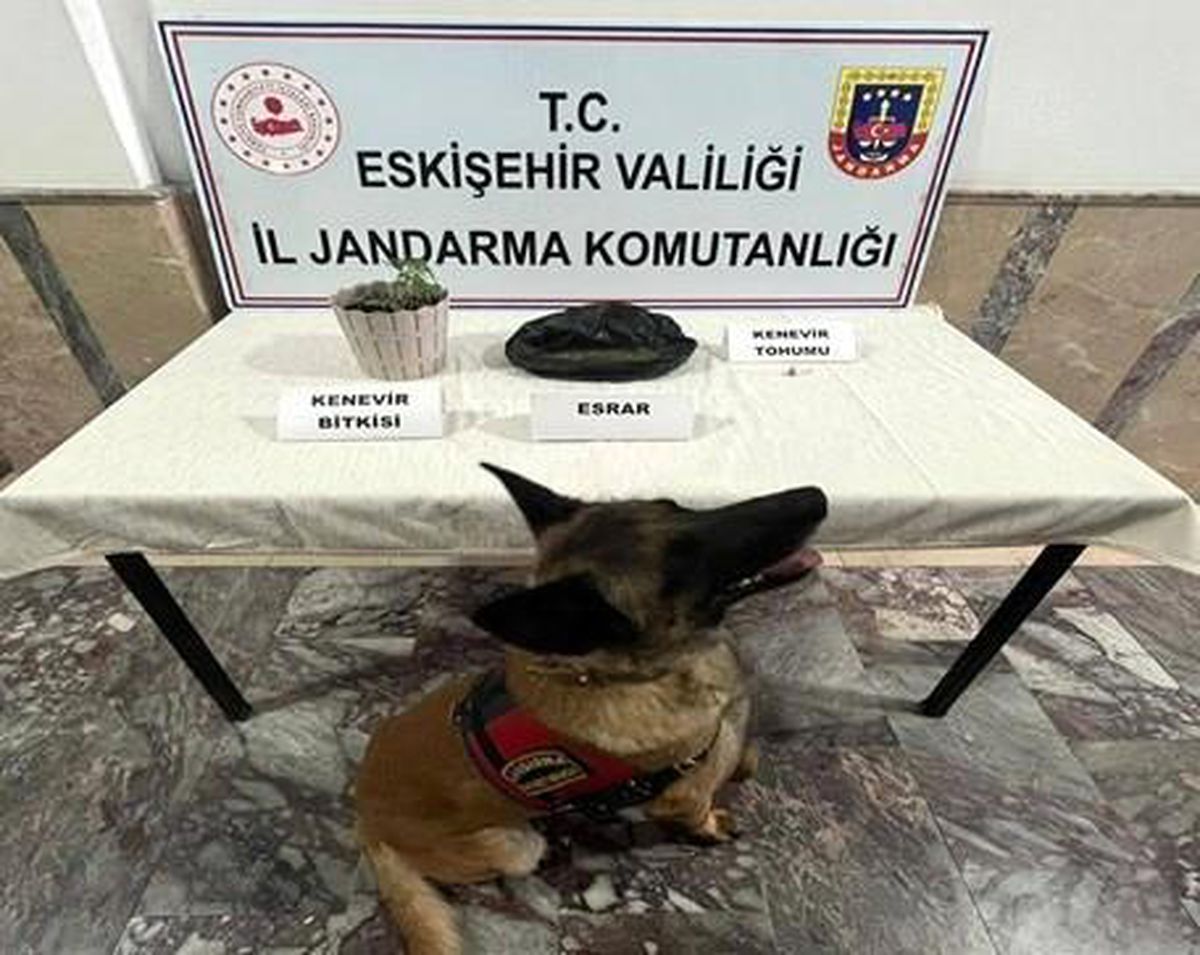 Eskişehir\'de yapılan operasyonlarda 6 kişi yakalandı, uyuşturucu madde ele geçirildi