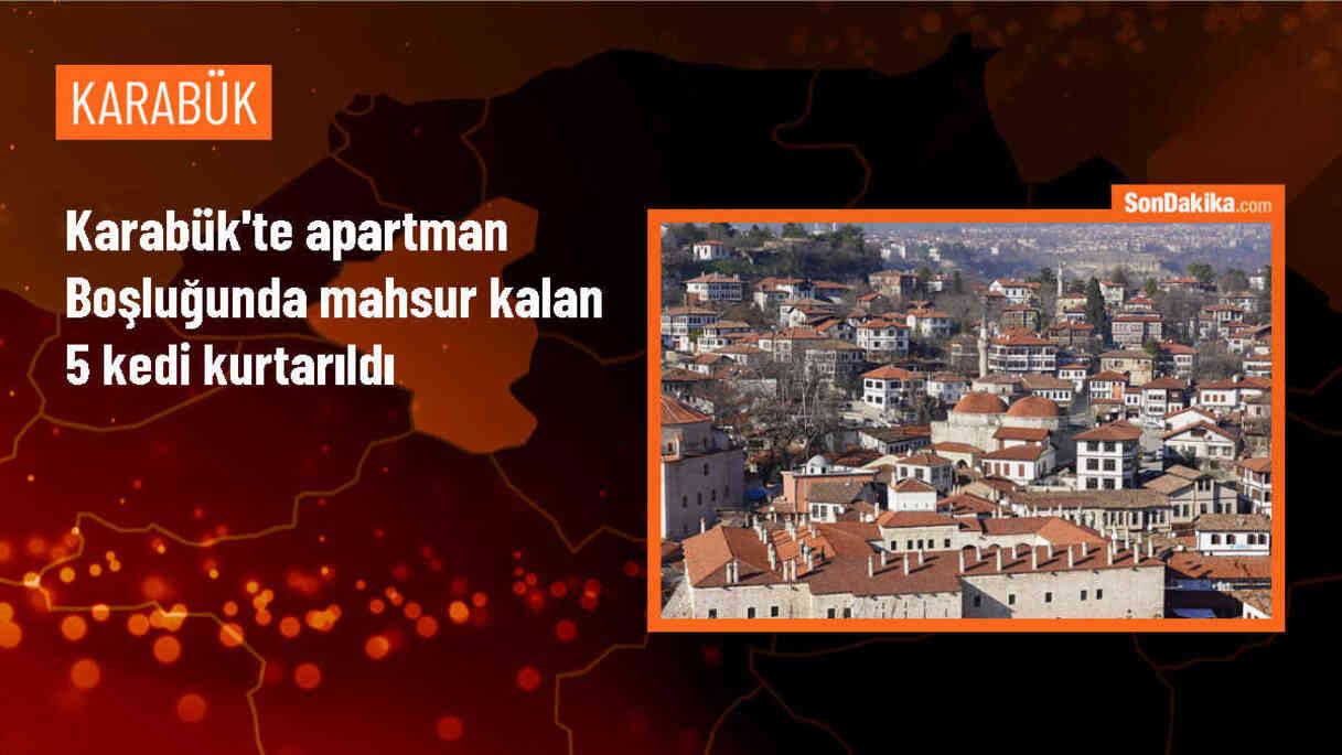 Karabük\'te mahsur kalan kedi ve yavruları kurtarıldı